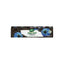 Dabur Black Seed Toothpaste 200ML