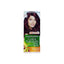 Garnier Deep Red Brown Hair Colour
