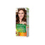 Garnier Light Golden Brown Hair Colour