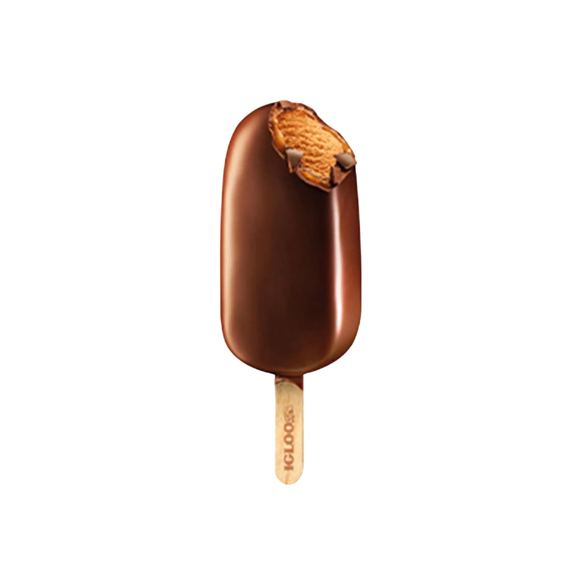Igloo Sr Eclair