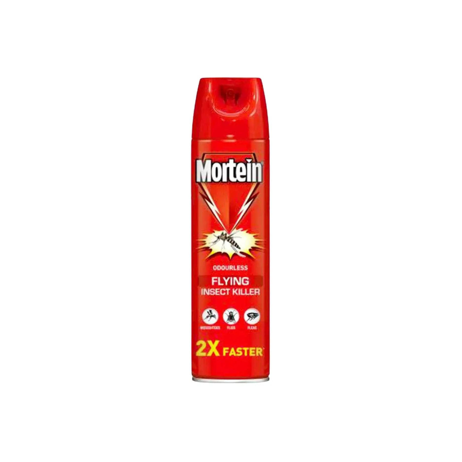 Mortein Aik Insect Spray 300ML