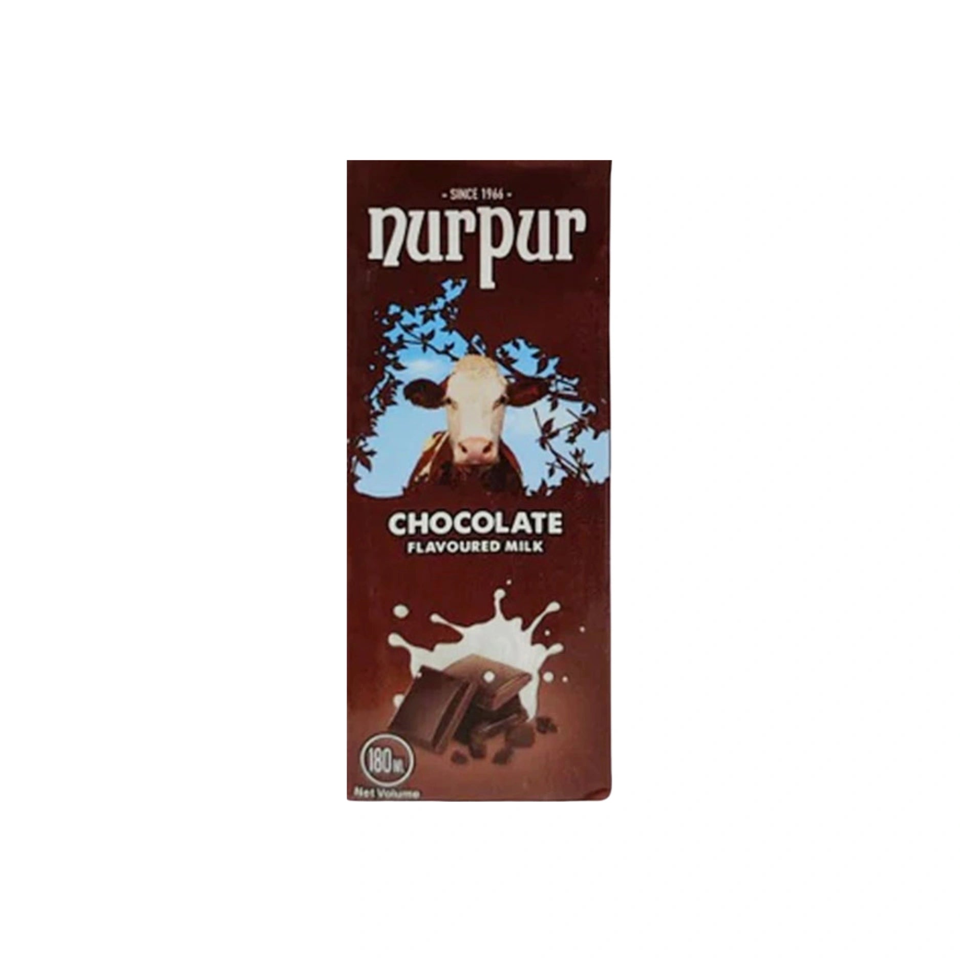 Nurpur Chocolate Flavoured Milk Main image