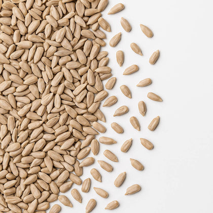 Loose sunflower seeds without packaging