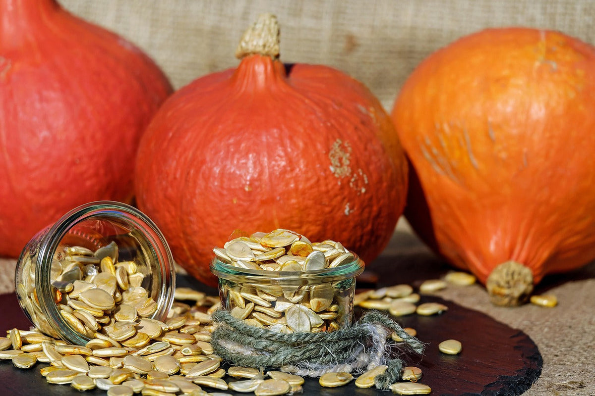 UK Kaddu Seeds 100G - pumpkin seeds on white background